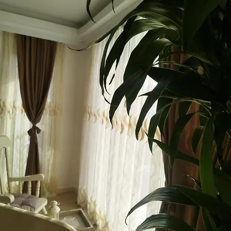 Sky & Floor 33th 28th & 25th & 19th & 13th 12th With Pool & & Fitness & Parking Included In Price